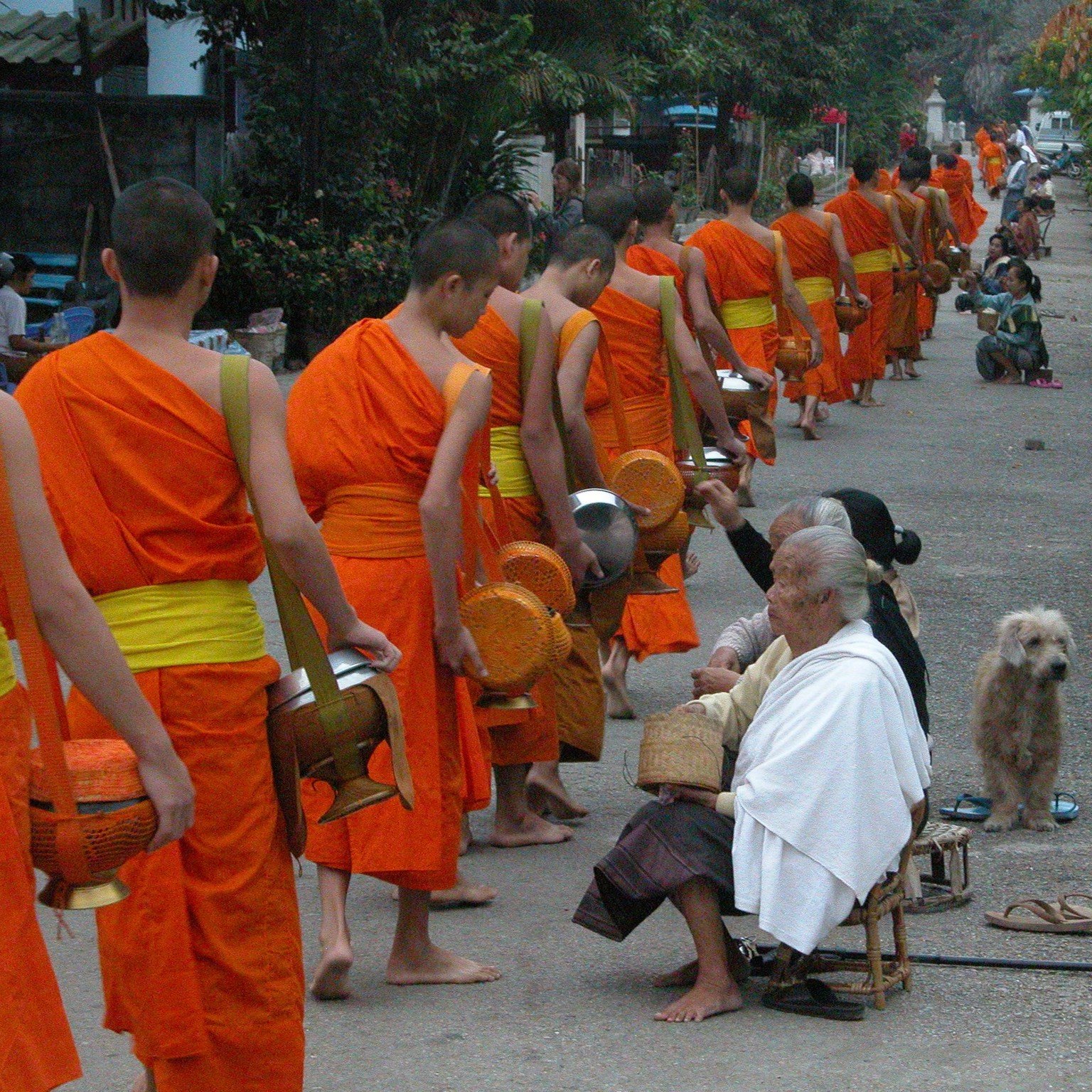 The Ultimate Guide to Your Cycling Holiday in Luang Prabang: Discover the Soul of Laos